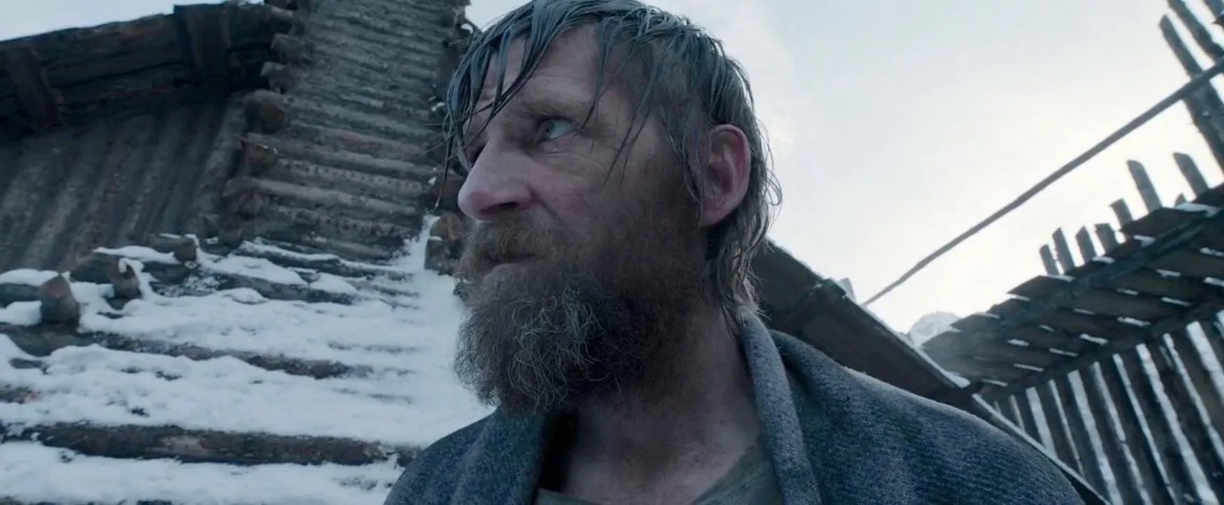 Paul Anderson in The Revenant (2015)