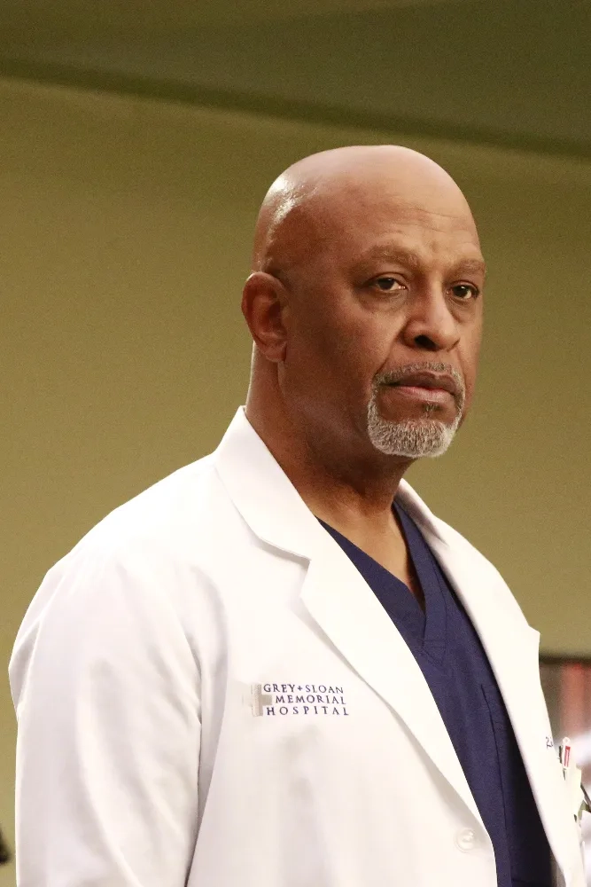 James Pickens Jr. in Grey's Anatomy (2005)