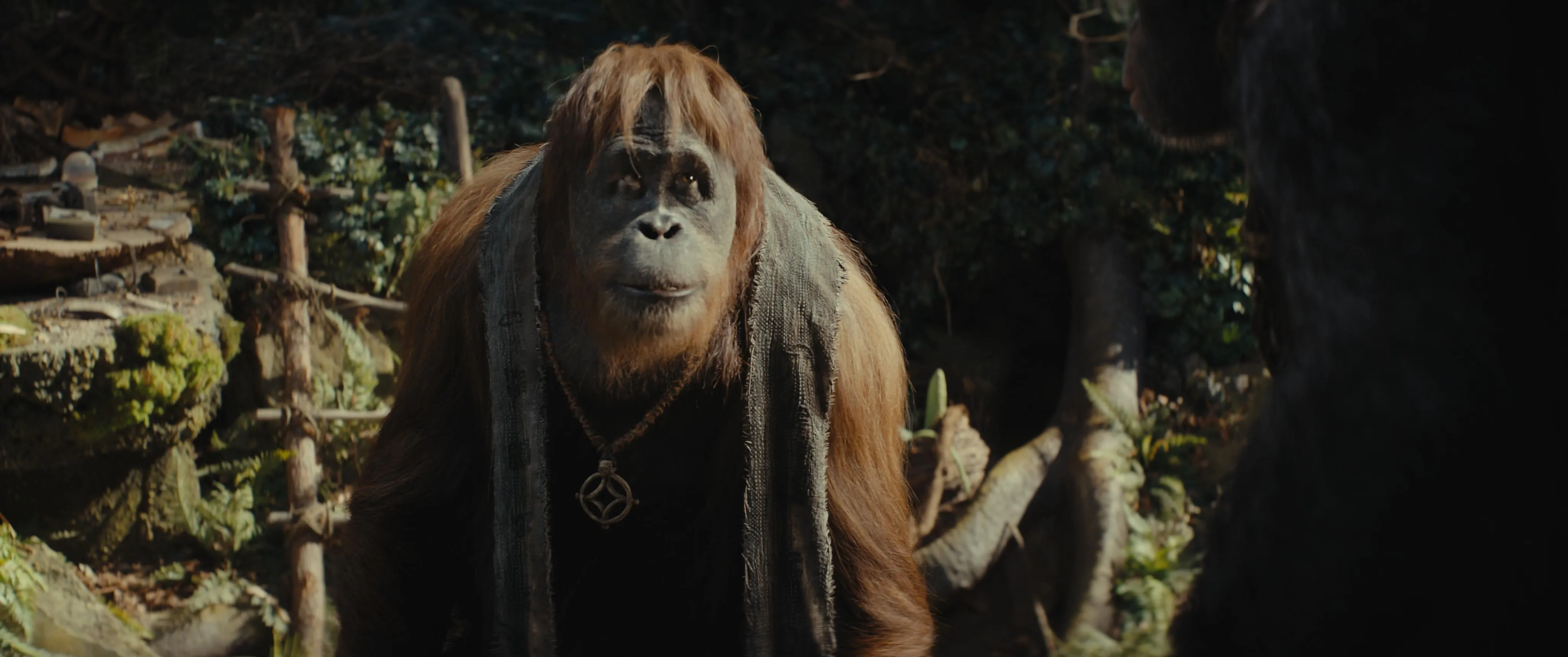 Peter Macon in Kingdom of the Planet of the Apes (2024)