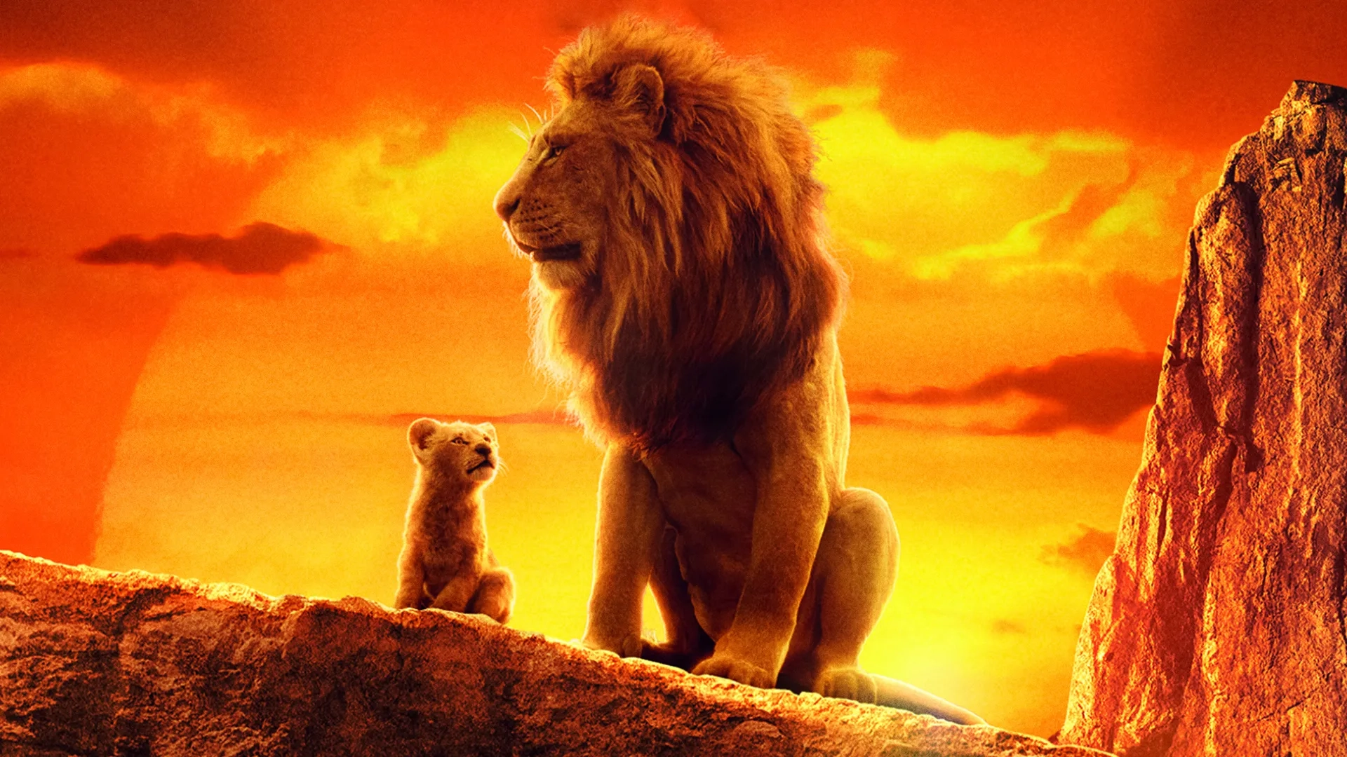 شیر شاه  (The Lion King)